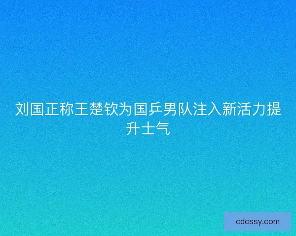 刘国正称王楚钦为国乒男队注入新活力提升士气